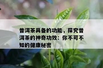 普洱茶具备的功能，探究普洱茶的神奇功效：你不可不知的健康秘密