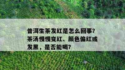 普洱生茶发红是怎么回事？茶汤慢慢变红、颜色偏红或发黑，是否能喝？