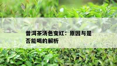 普洱茶汤色变红：原因与是否能喝的解析