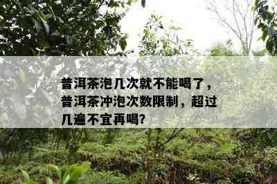 普洱茶泡几次就不能喝了，普洱茶冲泡次数限制，超过几遍不宜再喝？