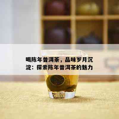 喝陈年普洱茶，品味岁月沉淀：探索陈年普洱茶的魅力