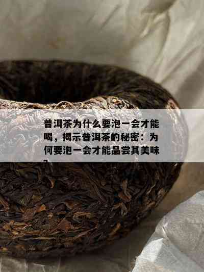 普洱茶为什么要泡一会才能喝，揭示普洱茶的秘密：为何要泡一会才能品尝其美味？