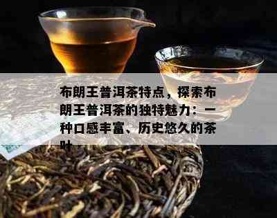 布朗王普洱茶特点，探索布朗王普洱茶的独特魅力：一种口感丰富、历史悠久的茶叶