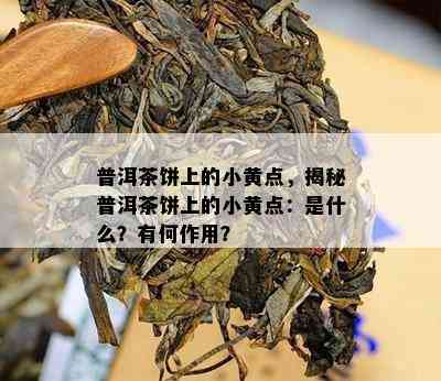 普洱茶饼上的小黄点，揭秘普洱茶饼上的小黄点：是什么？有何作用？