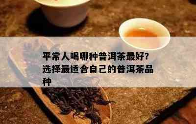 平常人喝哪种普洱茶更好？选择最适合自己的普洱茶品种