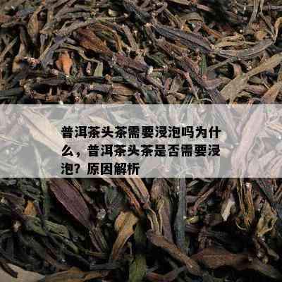 普洱茶头茶需要浸泡吗为什么，普洱茶头茶是否需要浸泡？原因解析