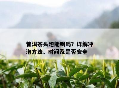 普洱茶头泡能喝吗？详解冲泡方法、时间及是否安全