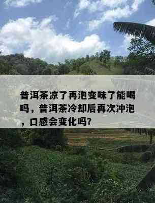 普洱茶凉了再泡变味了能喝吗，普洱茶冷却后再次冲泡，口感会变化吗？