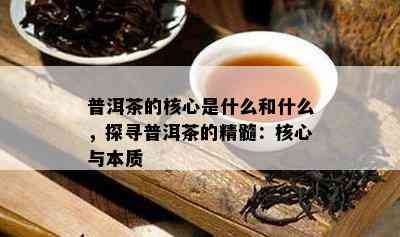 普洱茶的核心是什么和什么，探寻普洱茶的精髓：核心与本质