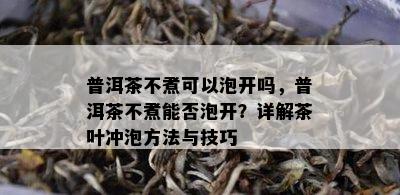 普洱茶不煮可以泡开吗，普洱茶不煮能否泡开？详解茶叶冲泡方法与技巧