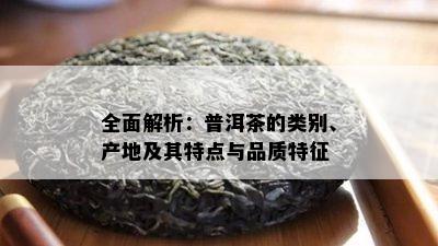 全面解析：普洱茶的类别、产地及其特点与品质特征