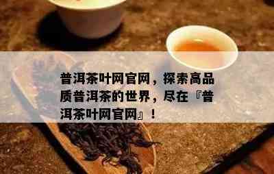 普洱茶叶网官网，探索高品质普洱茶的世界，尽在『普洱茶叶网官网』！