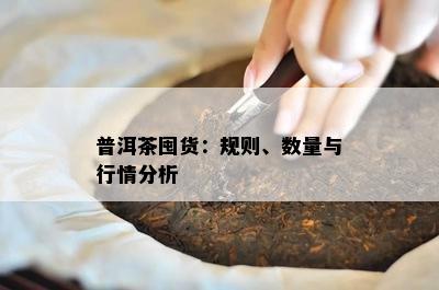 普洱茶囤货：规则、数量与行情分析