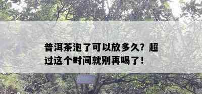 普洱茶泡了可以放多久？超过这个时间就别再喝了！