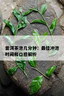 普洱茶泡几分钟：更佳冲泡时间和口感解析