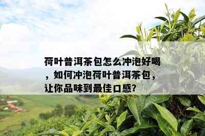 荷叶普洱茶包怎么冲泡好喝，如何冲泡荷叶普洱茶包，让你品味到更佳口感？