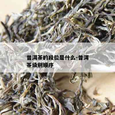 普洱茶的段位是什么-普洱茶级别顺序