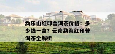 勐乐山红印普洱茶价格：多少钱一盒？云南勐海红印普洱茶全解析