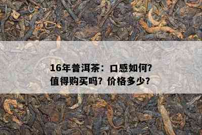 16年普洱茶：口感如何？值得购买吗？价格多少？