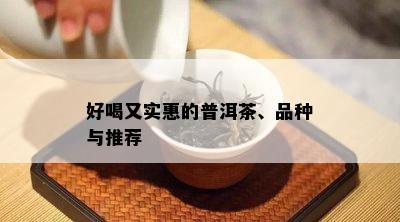 好喝又实惠的普洱茶、品种与推荐