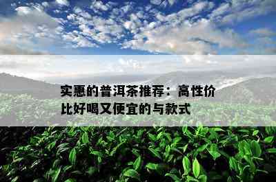 实惠的普洱茶推荐：高性价比好喝又便宜的与款式