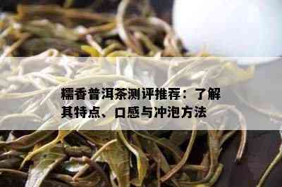 糯香普洱茶测评推荐：了解其特点、口感与冲泡方法