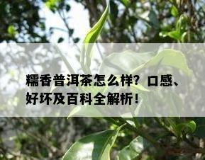 糯香普洱茶怎么样？口感、好坏及百科全解析！