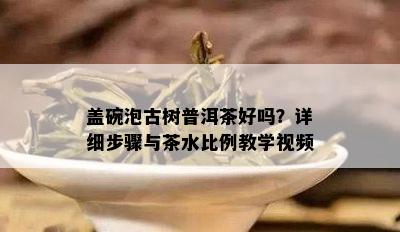 盖碗泡古树普洱茶好吗？详细步骤与茶水比例教学视频