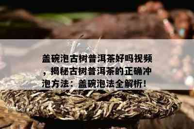 盖碗泡古树普洱茶好吗视频，揭秘古树普洱茶的正确冲泡方法：盖碗泡法全解析！