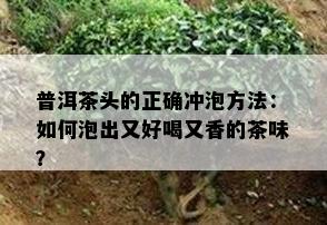 普洱茶头的正确冲泡方法：如何泡出又好喝又香的茶味？