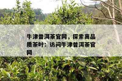 牛津普洱茶官网，探索高品质茶叶：访问牛津普洱茶官网