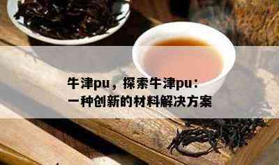 牛津pu，探索牛津pu：一种创新的材料解决方案