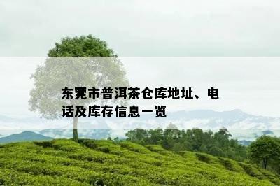 东莞市普洱茶仓库地址、电话及库存信息一览