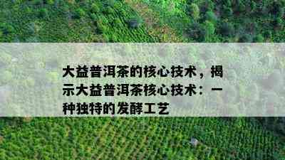 大益普洱茶的核心技术，揭示大益普洱茶核心技术：一种独特的发酵工艺