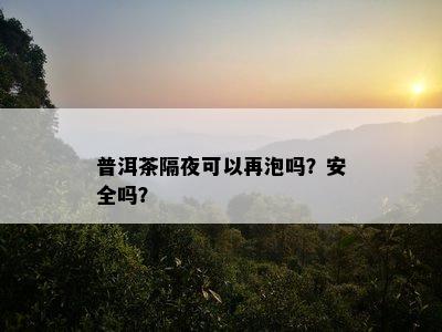 普洱茶隔夜可以再泡吗？安全吗？