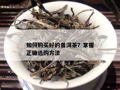 如何购买好的普洱茶？掌握正确选购方法