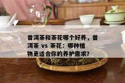 普洱茶和茶花哪个好养，普洱茶 vs 茶花：哪种植物更适合你的养护需求？