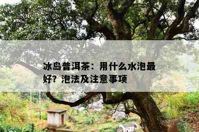 冰岛普洱茶：用什么水泡更好？泡法及注意事项