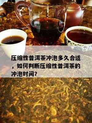 压缩性普洱茶冲泡多久合适，如何判断压缩性普洱茶的冲泡时间？