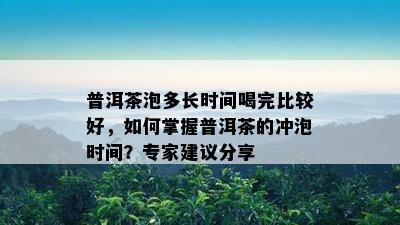 普洱茶泡多长时间喝完比较好，如何掌握普洱茶的冲泡时间？专家建议分享