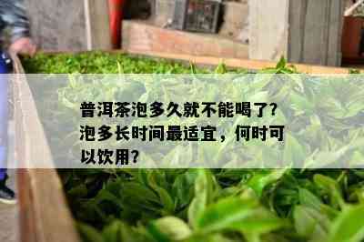 普洱茶泡多久就不能喝了？泡多长时间最适宜，何时可以饮用？