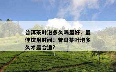 普洱茶叶泡多久喝更好，更佳饮用时间：普洱茶叶泡多久才最合适？