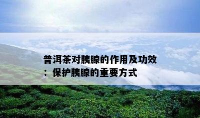 普洱茶对胰腺的作用及功效：保护胰腺的重要方式