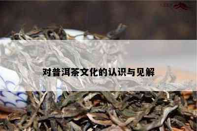 对普洱茶文化的认识与见解