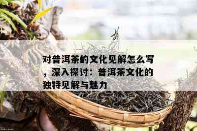 对普洱茶的文化见解怎么写，深入探讨：普洱茶文化的独特见解与魅力