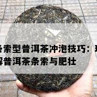 条索型普洱茶冲泡技巧：理解普洱茶条索与肥壮