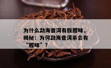 为什么勐海普洱有股腥味，揭秘：为何勐海普洱茶会有“腥味”？