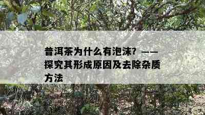 普洱茶为什么有泡沫？——探究其形成原因及去除杂质方法