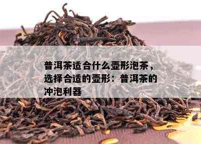 普洱茶适合什么壶形泡茶，选择合适的壶形：普洱茶的冲泡利器