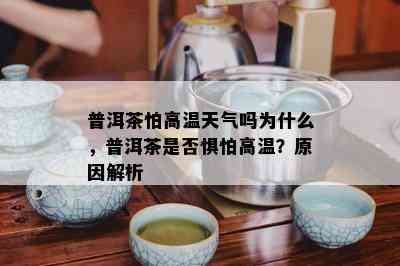 普洱茶怕高温天气吗为什么，普洱茶是否惧怕高温？原因解析